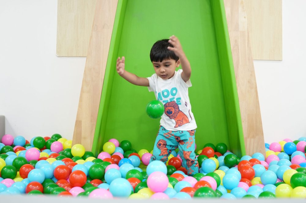 Weeones Preschool ball pull